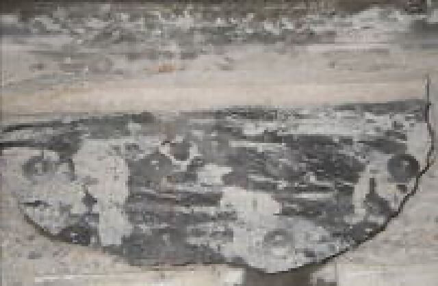 グリッド貼付け状況